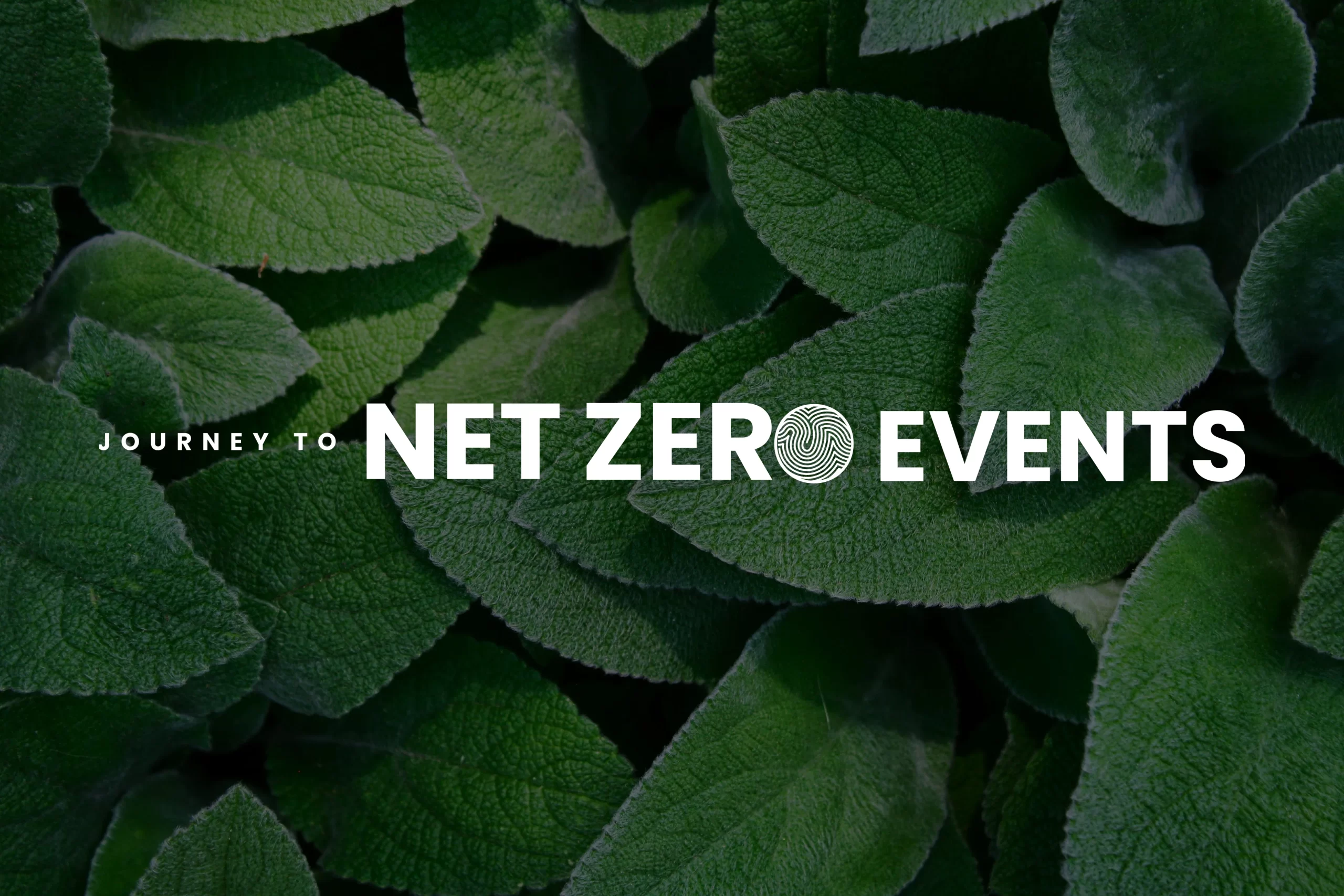 net-zero carbon emissions, corporate events, innovations, corporate sustainability
