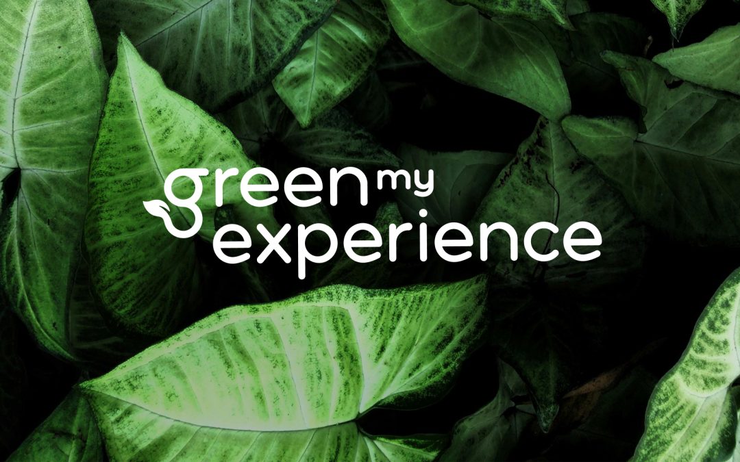 Welcome to Green My Experience: Where Sustainability Meets Innovation