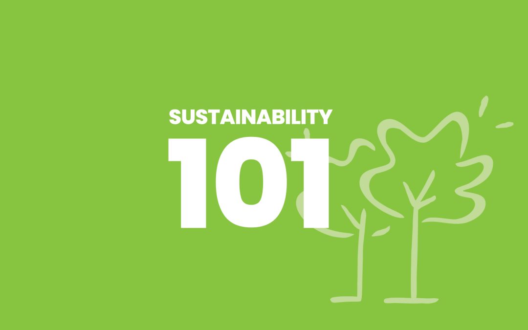 Unlocking Sustainable Success: GME’s Guide to SMB Sustainability 101 Courses