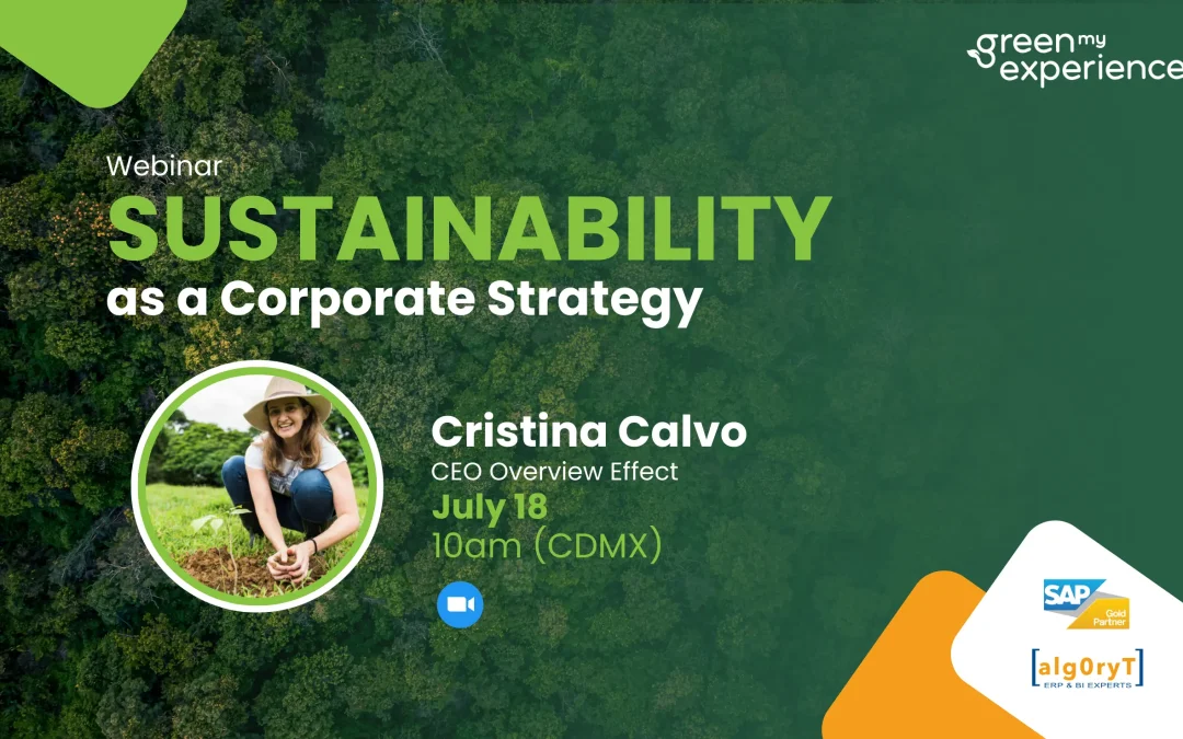 Webinar: Sustainability as a Corporate Strategy