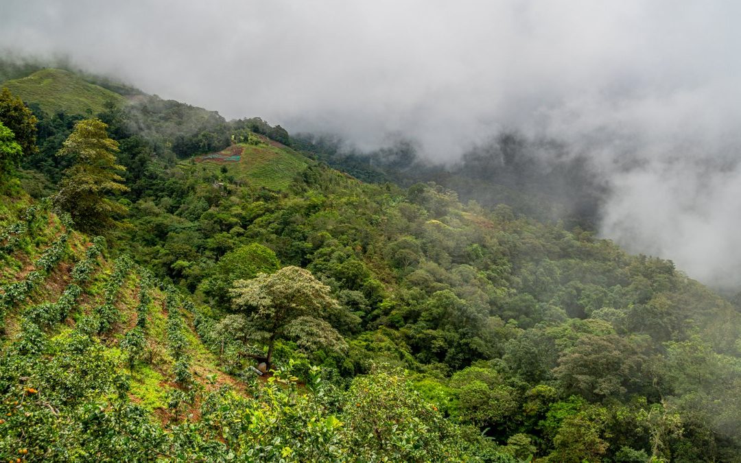Medimos CO₂, certificamos tour operadores, plantamos árboles… ¿y por qué el turismo sigue sin volverse sostenible?