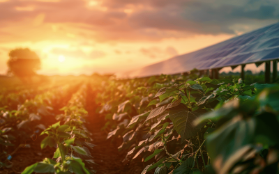 Sustainability is no longer relegated to the sidelines of business.